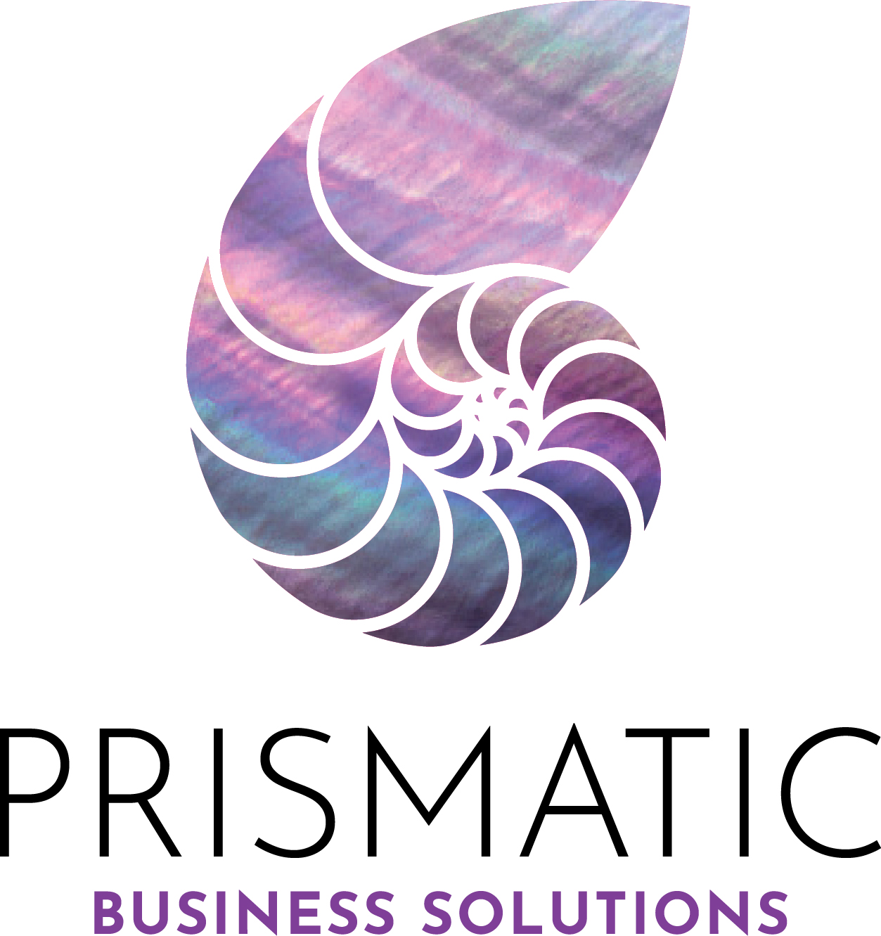 Prismatic Business Solutions